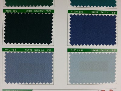 SD-DGYE   滌棉細珠帆  T/C  21*21   96*55 細節-7